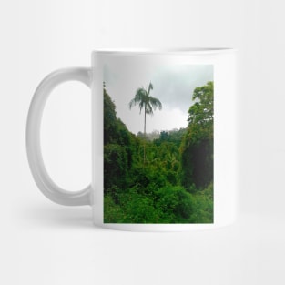 Mount Tambourine Mug